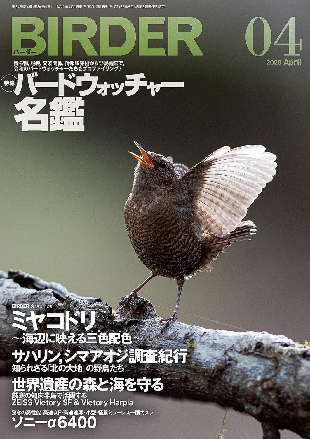 BIRDER（バーダー） 2020年4月号