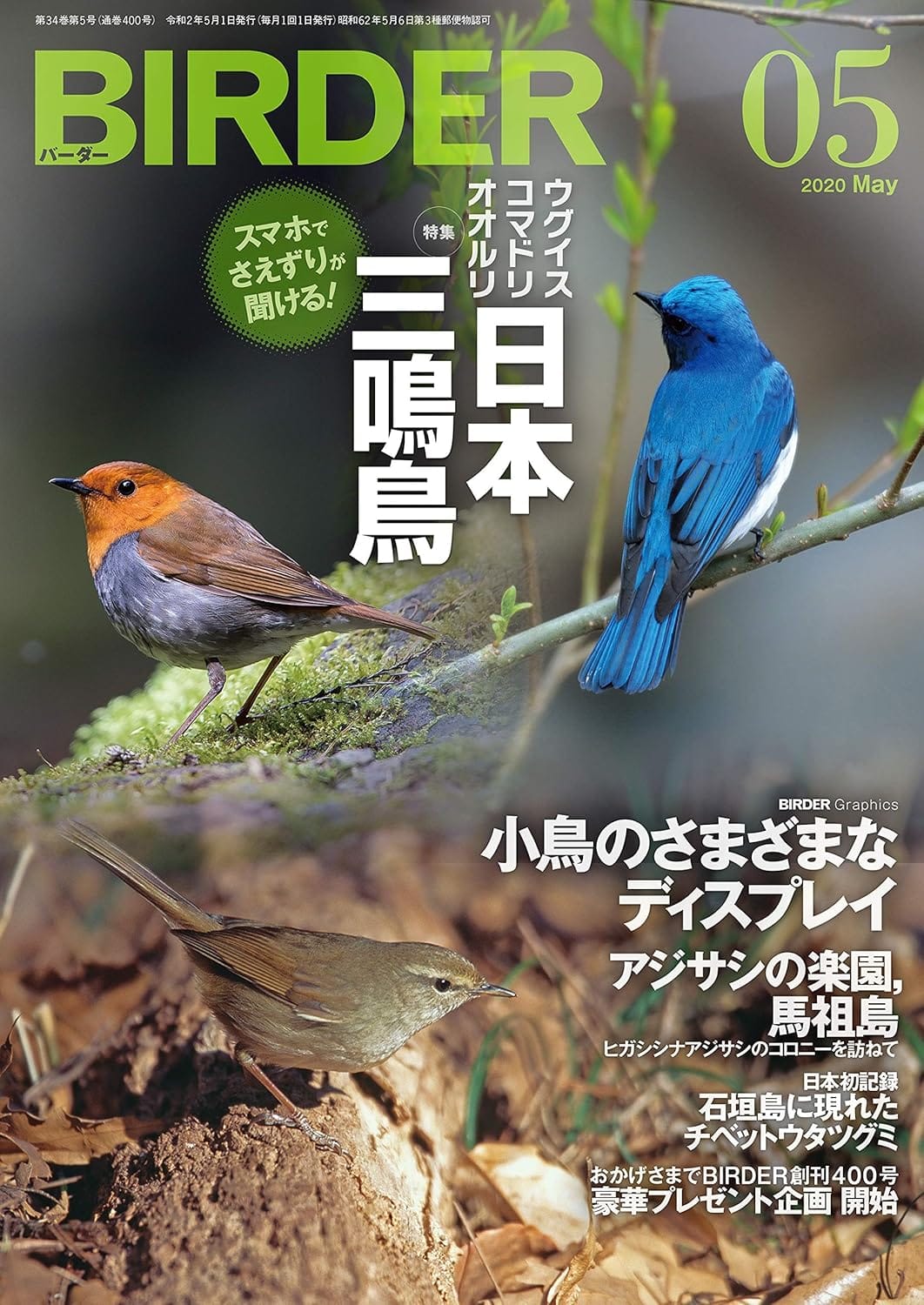 BIRDER（バーダー） 2020年5月号