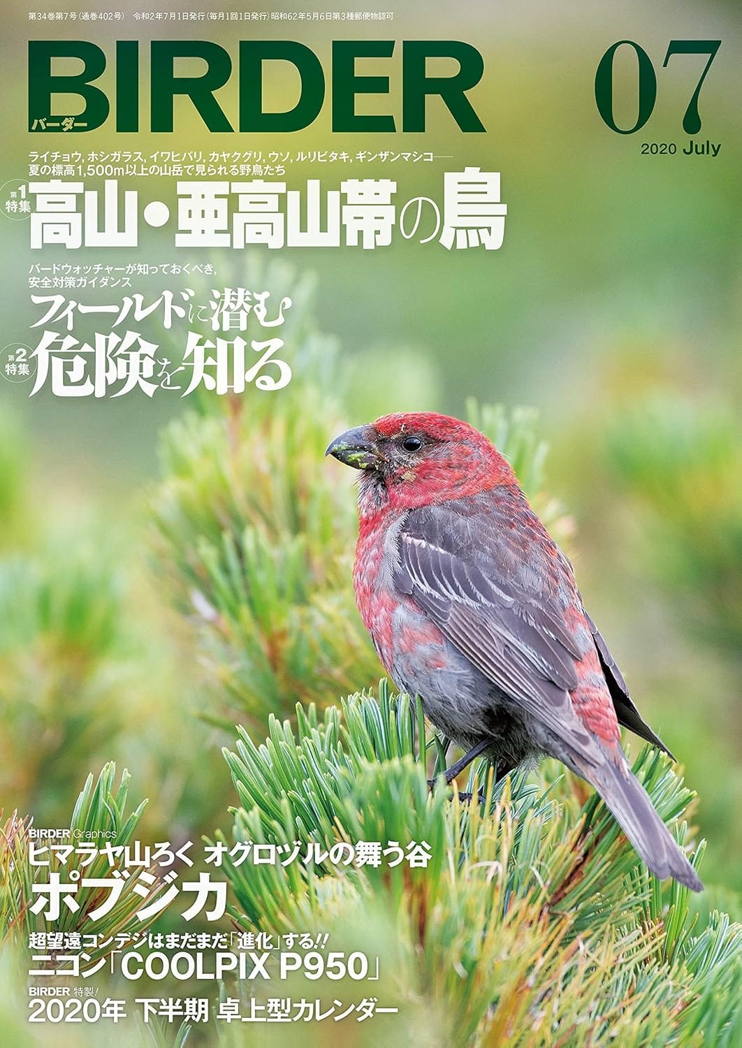BIRDER（バーダー） 2020年7月号