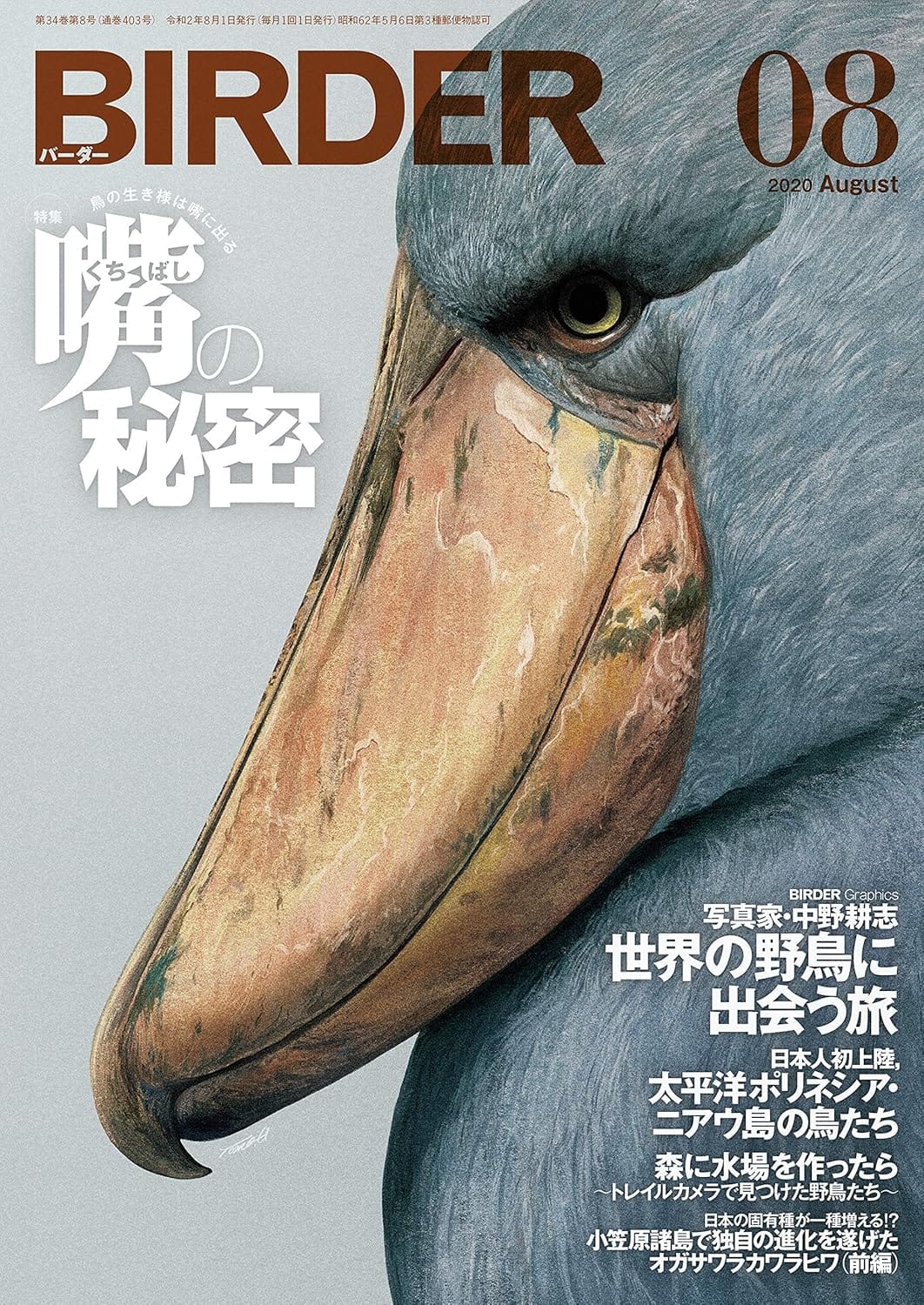 BIRDER（バーダー） 2020年8月号