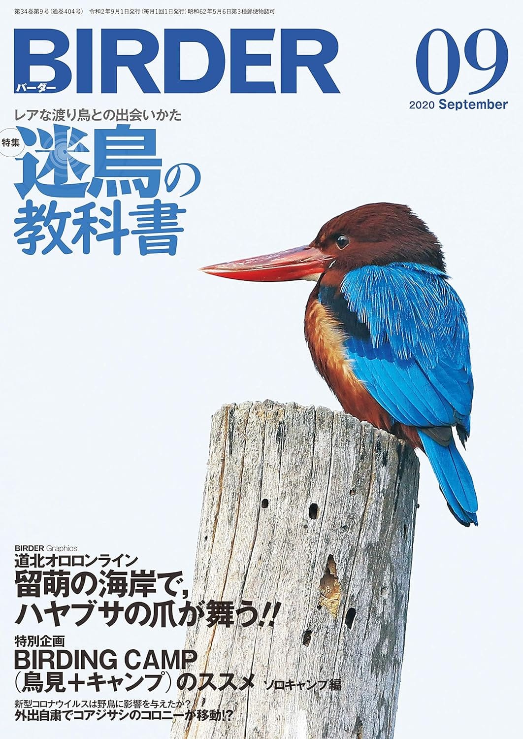 BIRDER（バーダー） 2020年9月号