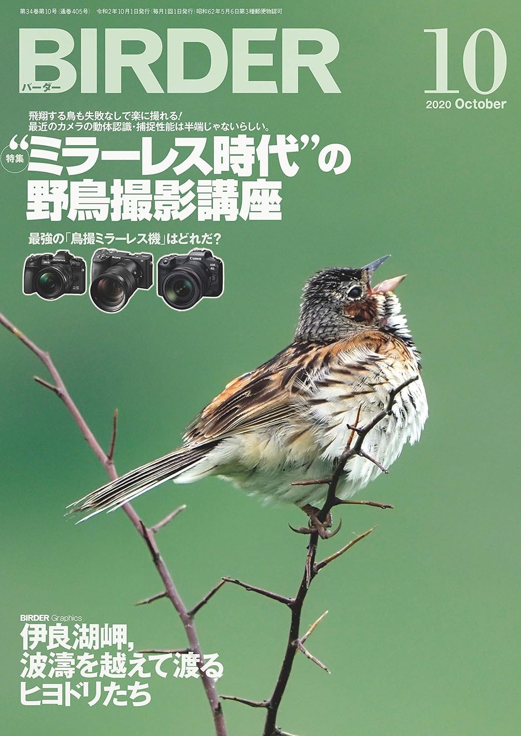 BIRDER（バーダー） 2020年10月号