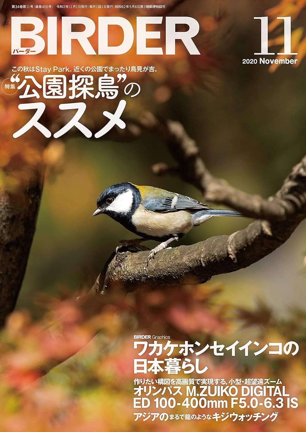 BIRDER（バーダー） 2020年11月号