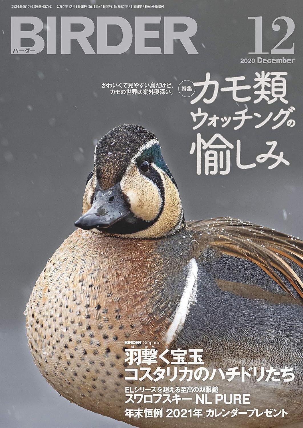 BIRDER（バーダー） 2020年12月号