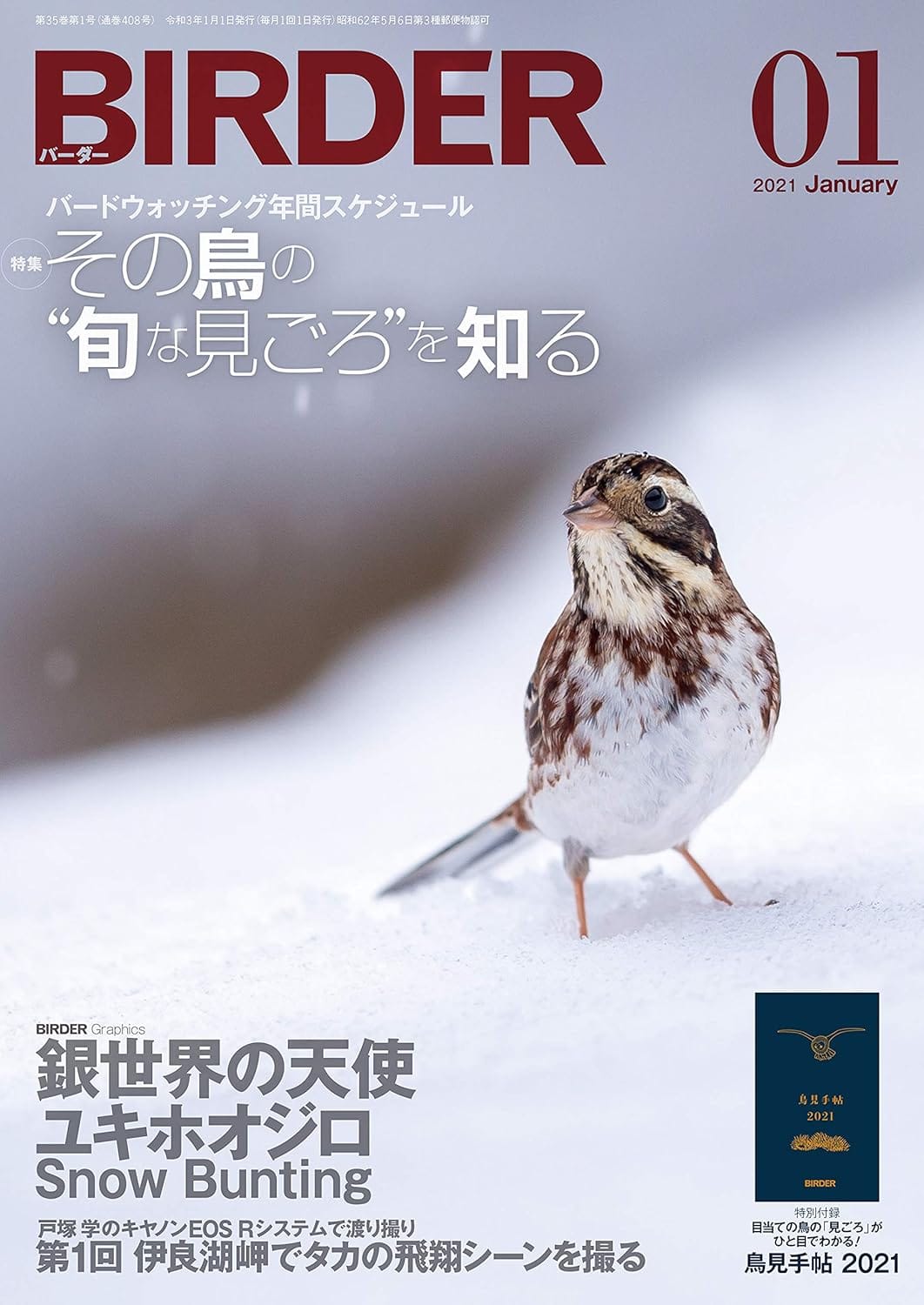 BIRDER（バーダー） 2021年1月号