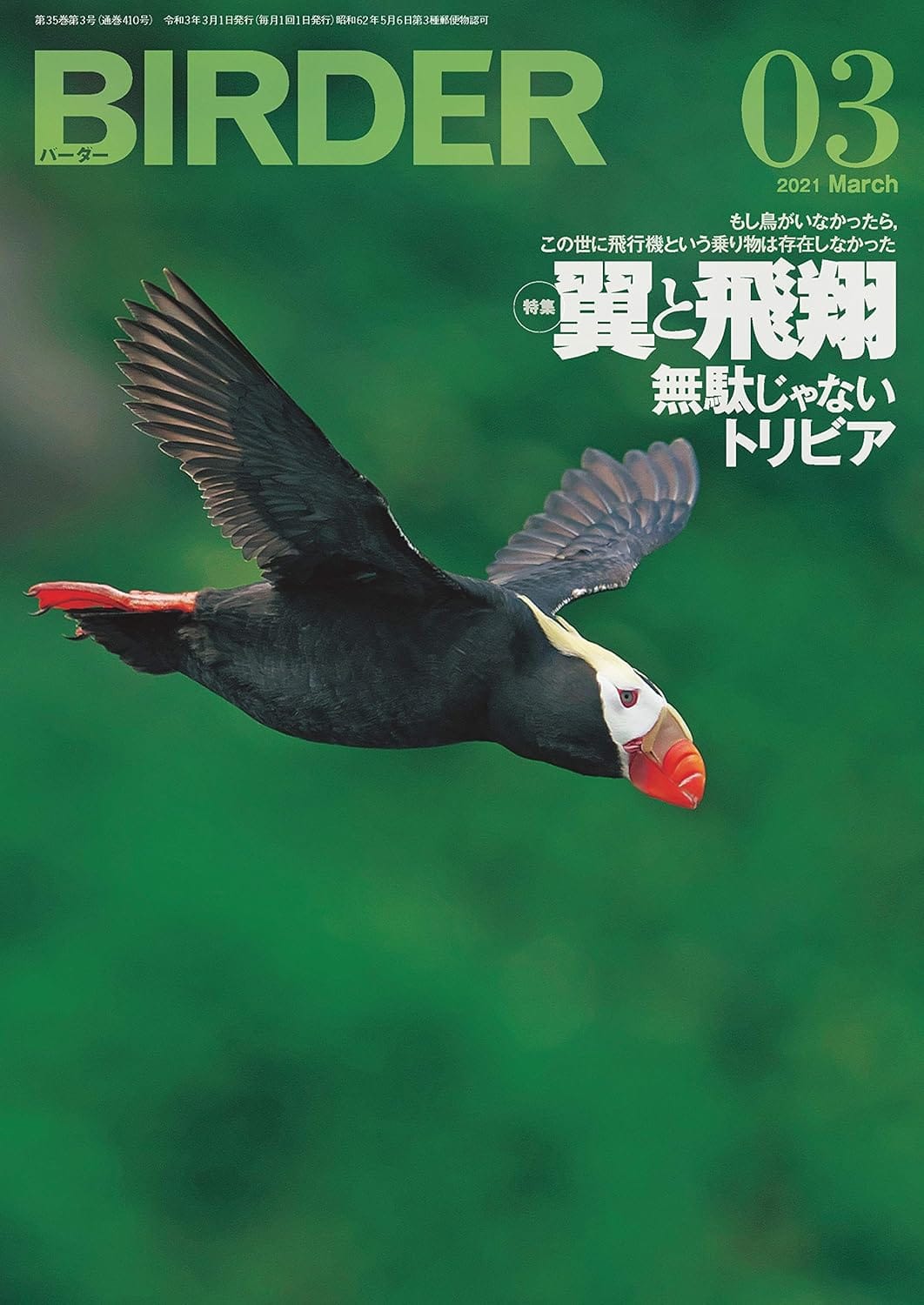 BIRDER（バーダー） 2021年3月号
