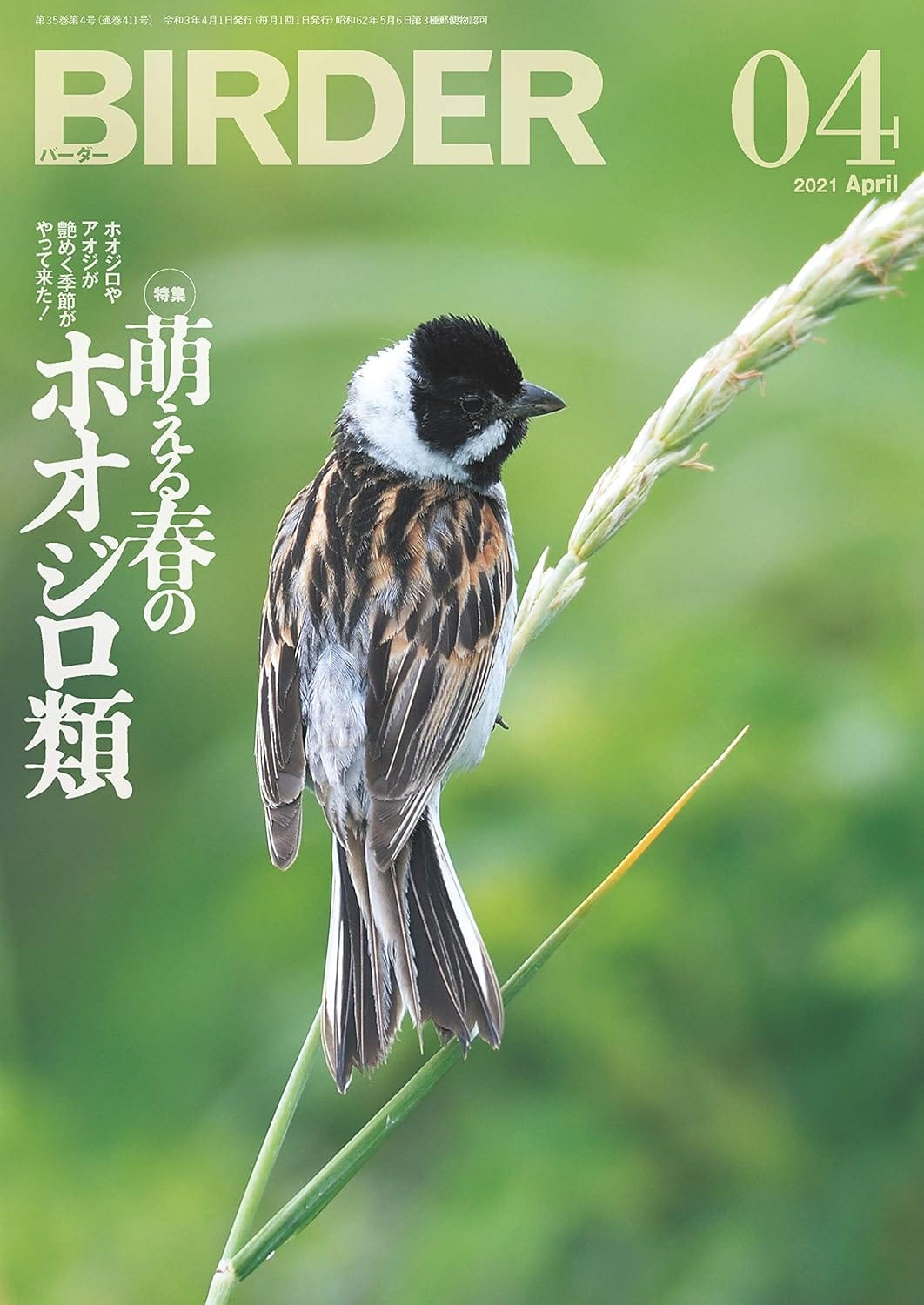 BIRDER（バーダー） 2021年4月号