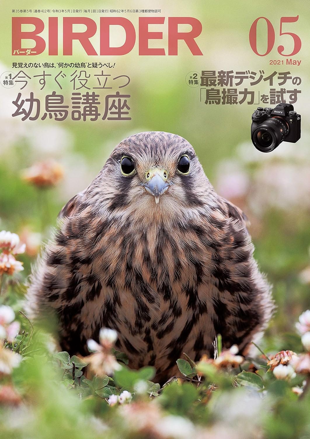 BIRDER（バーダー） 2021年5月号
