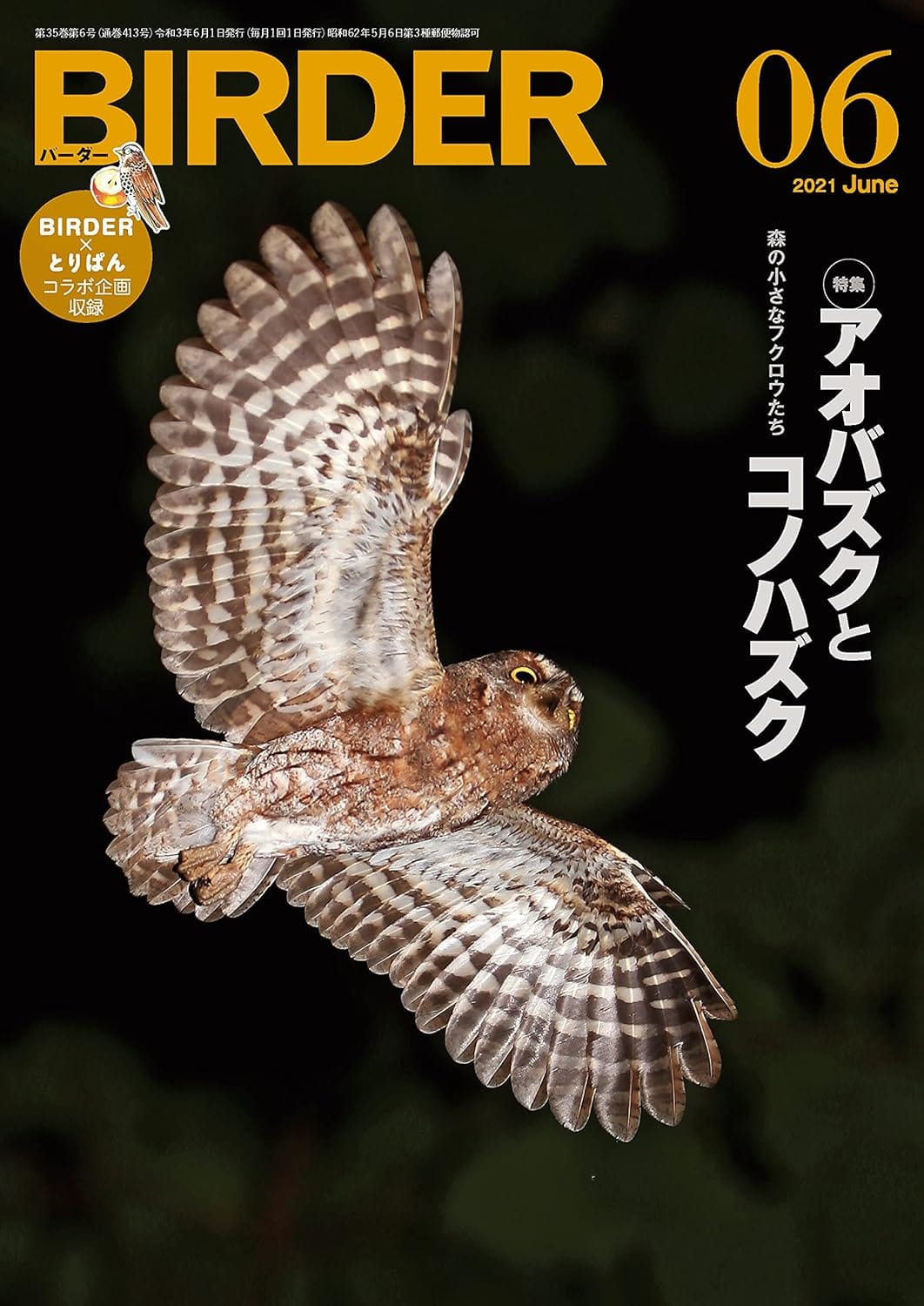 BIRDER（バーダー） 2021年6月号