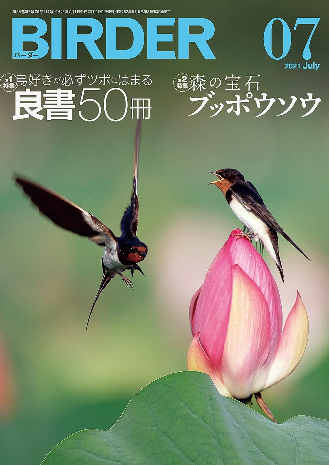 BIRDER（バーダー） 2021年7月号
