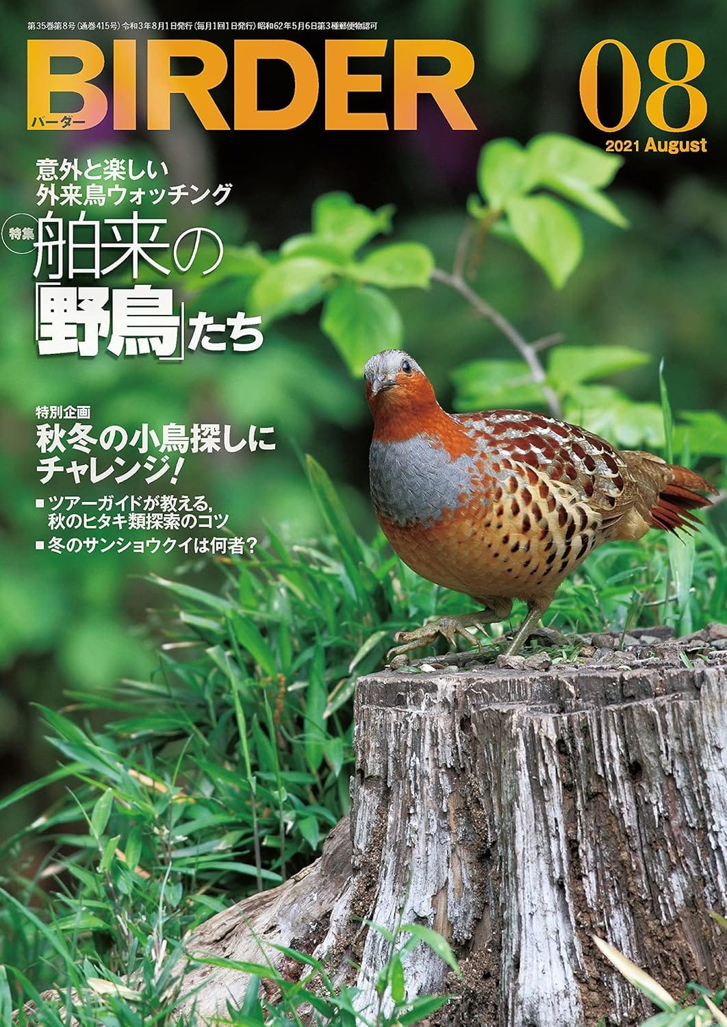 BIRDER（バーダー） 2021年8月号