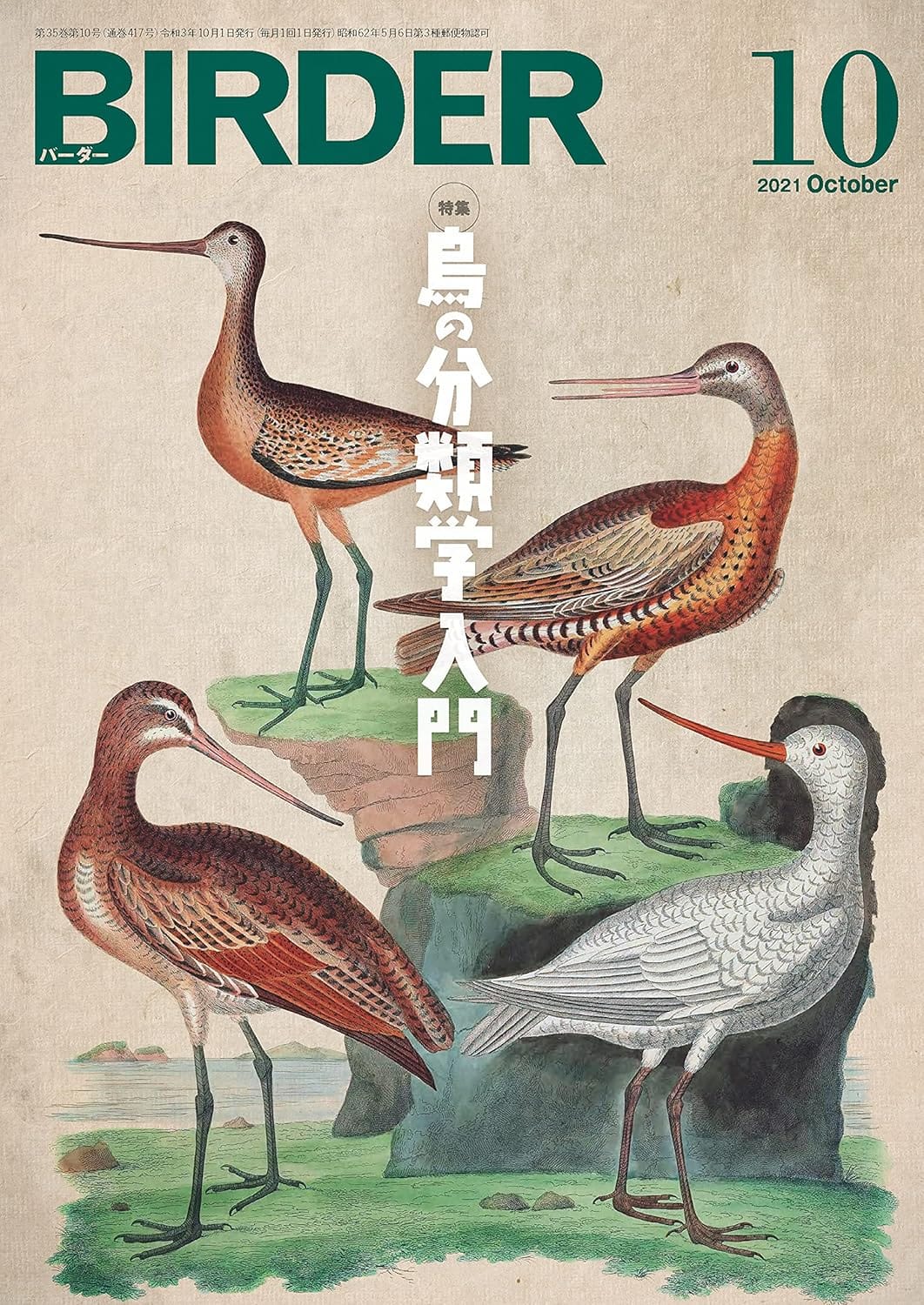 BIRDER（バーダー） 2021年10月号