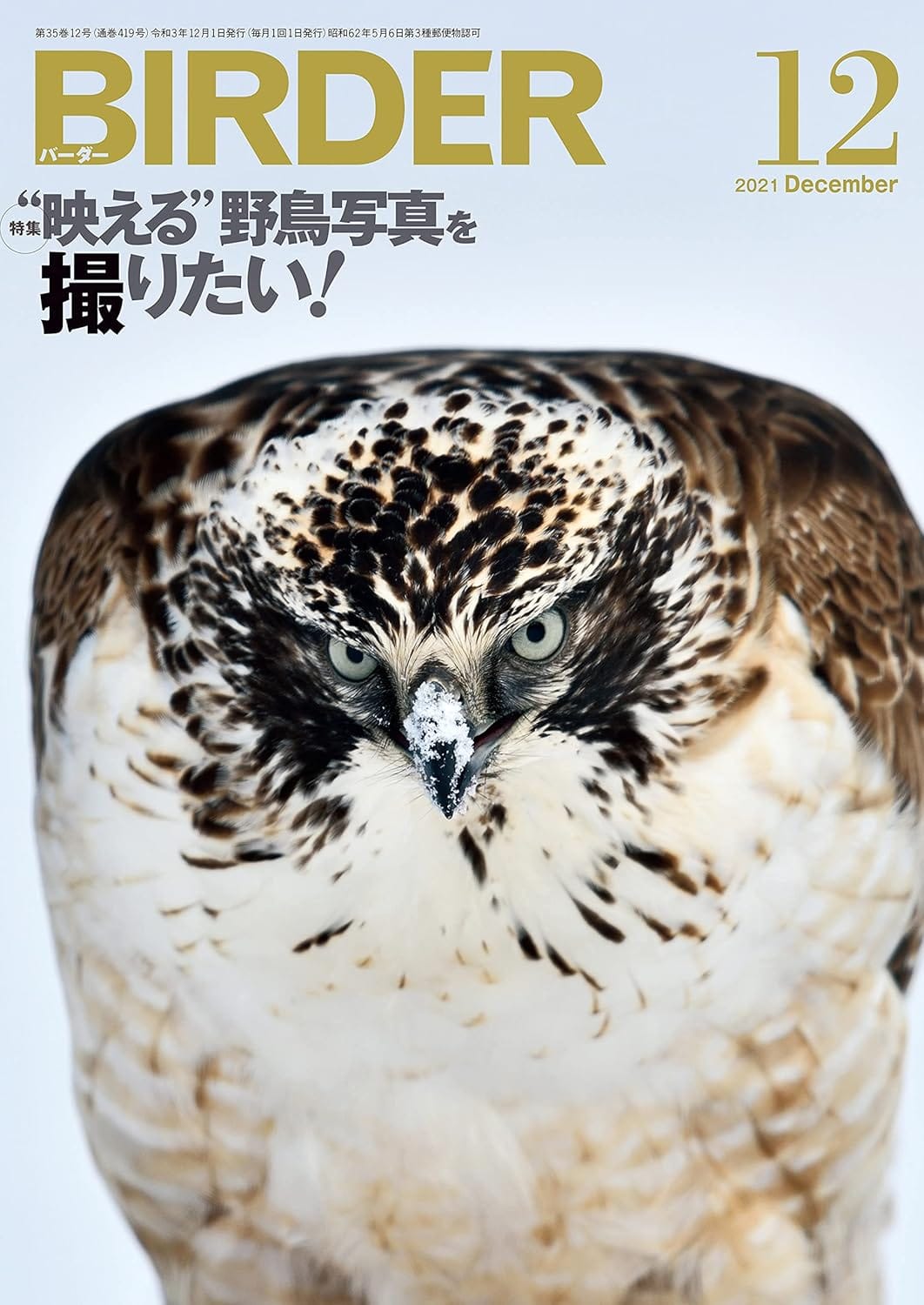 BIRDER（バーダー） 2021年12月号