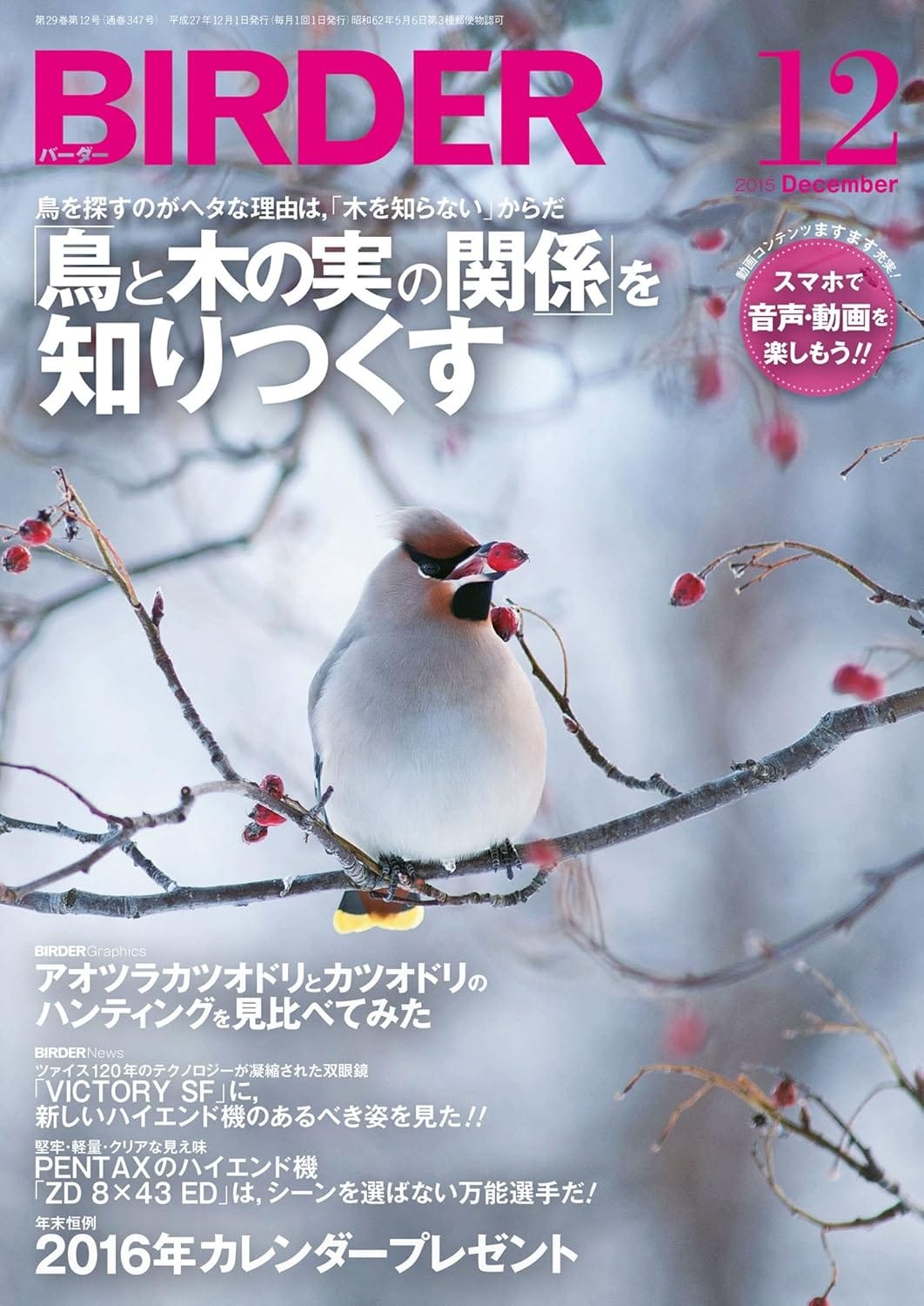 BIRDER（バーダー） 2015年12月号