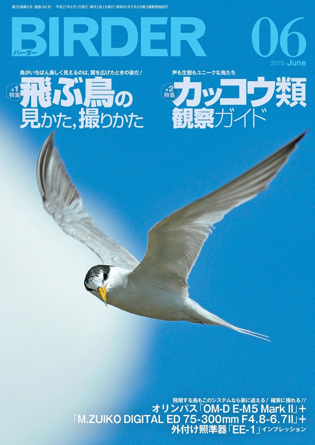 BIRDER（バーダー） 2015年6月号