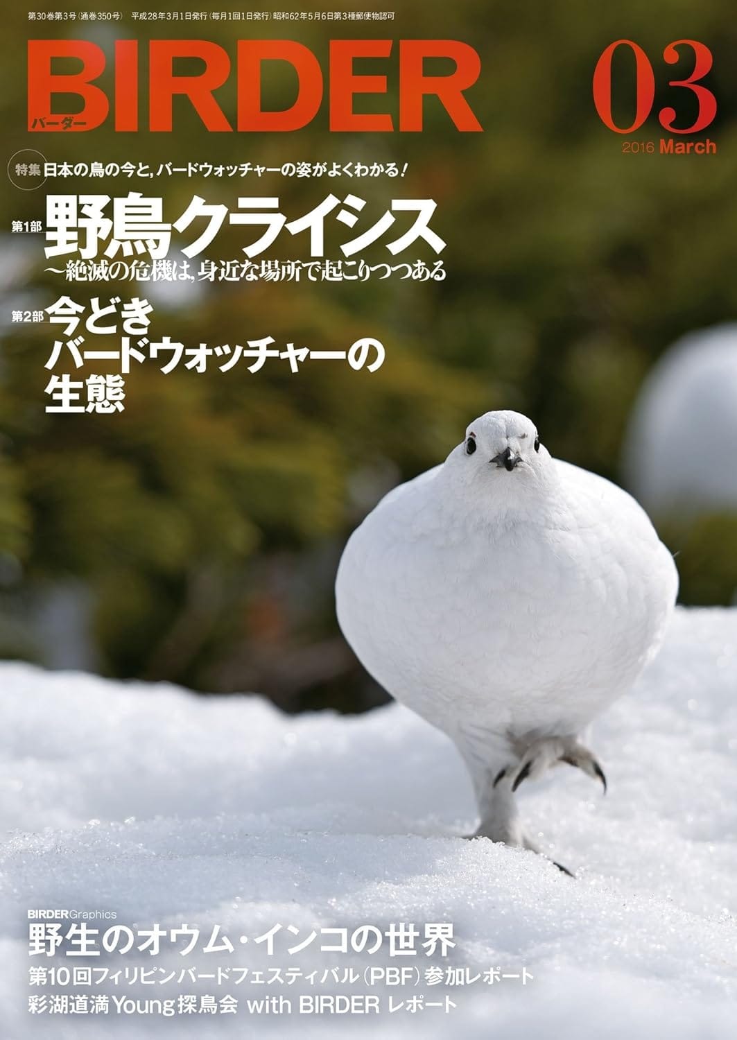 BIRDER（バーダー） 2016年3月号
