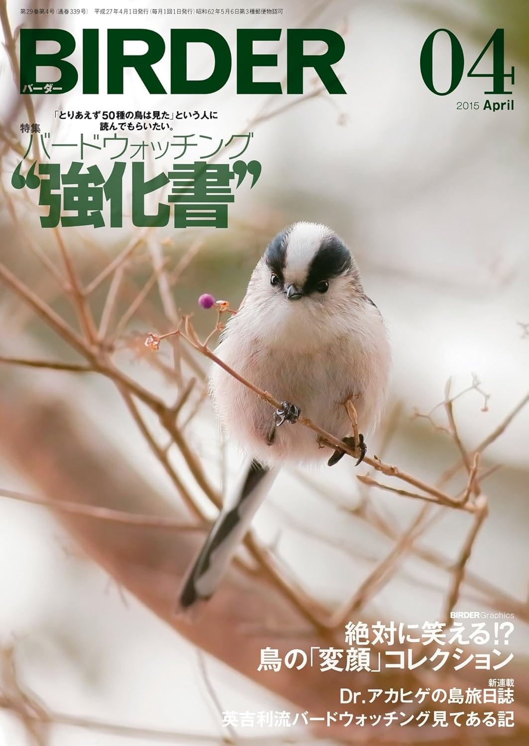 BIRDER（バーダー） 2015年4月号