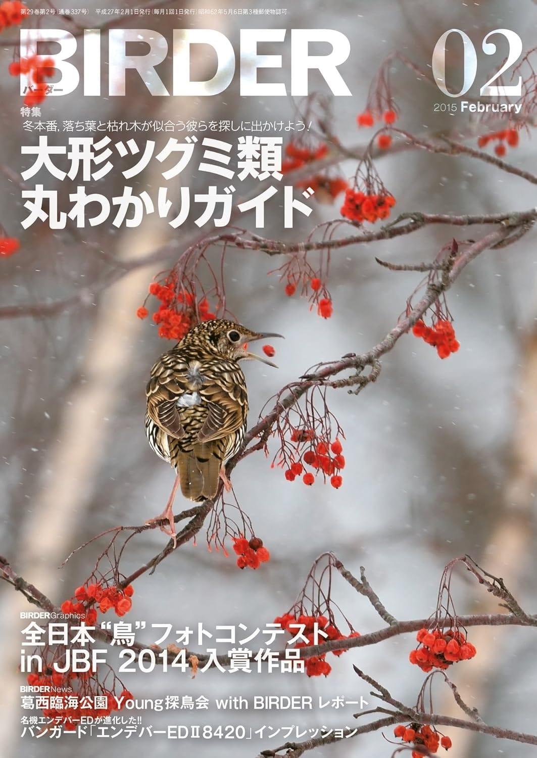 BIRDER（バーダー） 2015年2月号