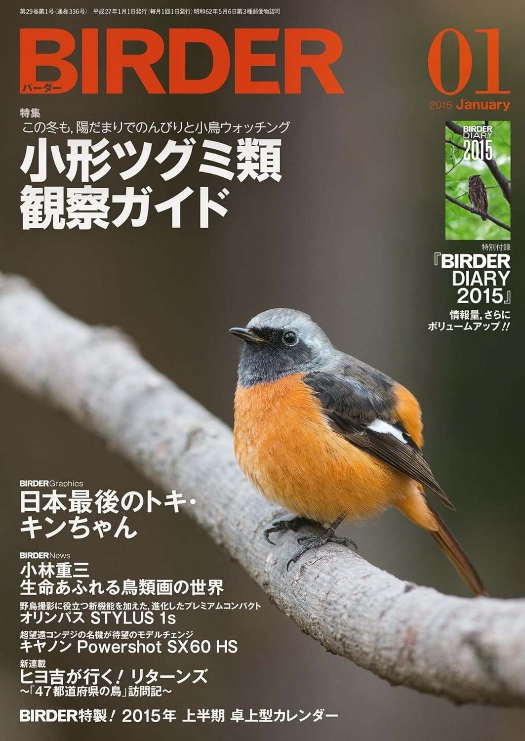BIRDER（バーダー） 2015年1月号