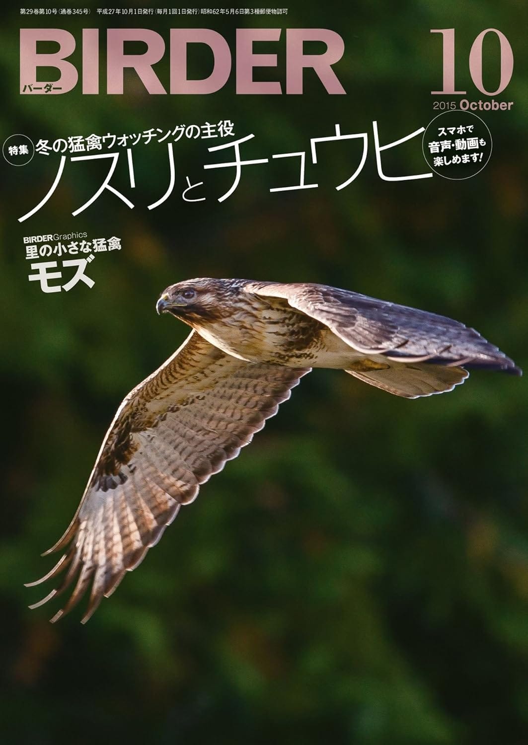 BIRDER（バーダー） 2015年10月号