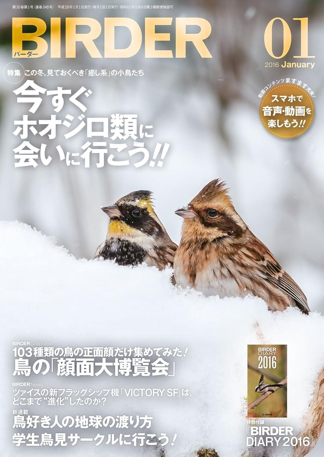 BIRDER（バーダー） 2016年1月号