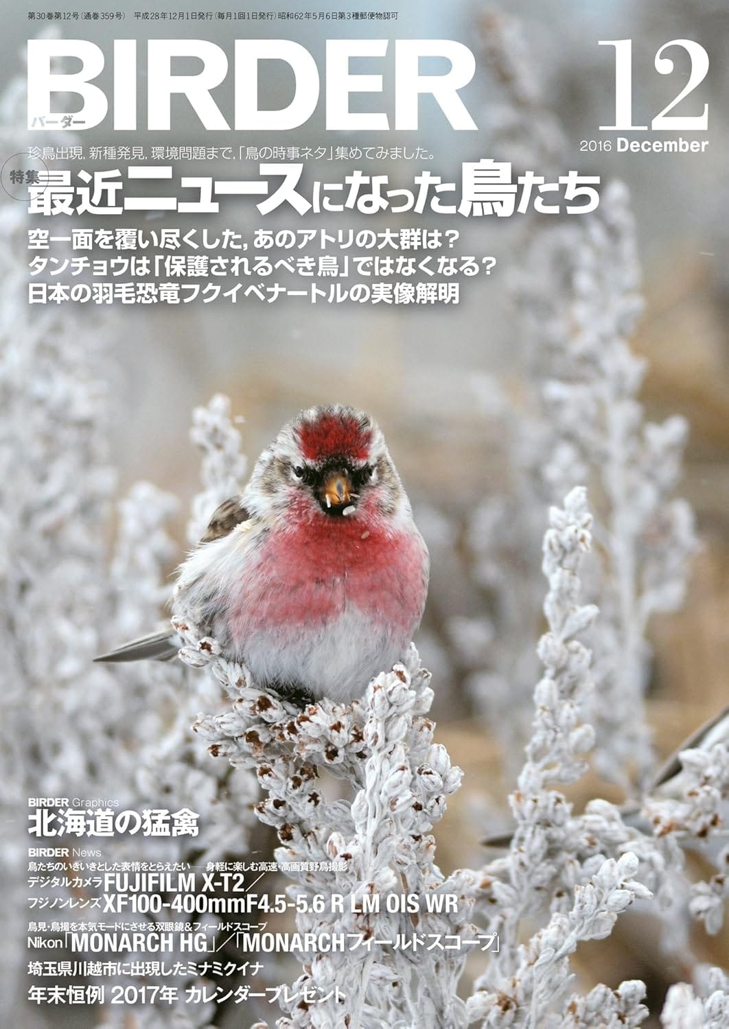BIRDER（バーダー） 2016年12月号