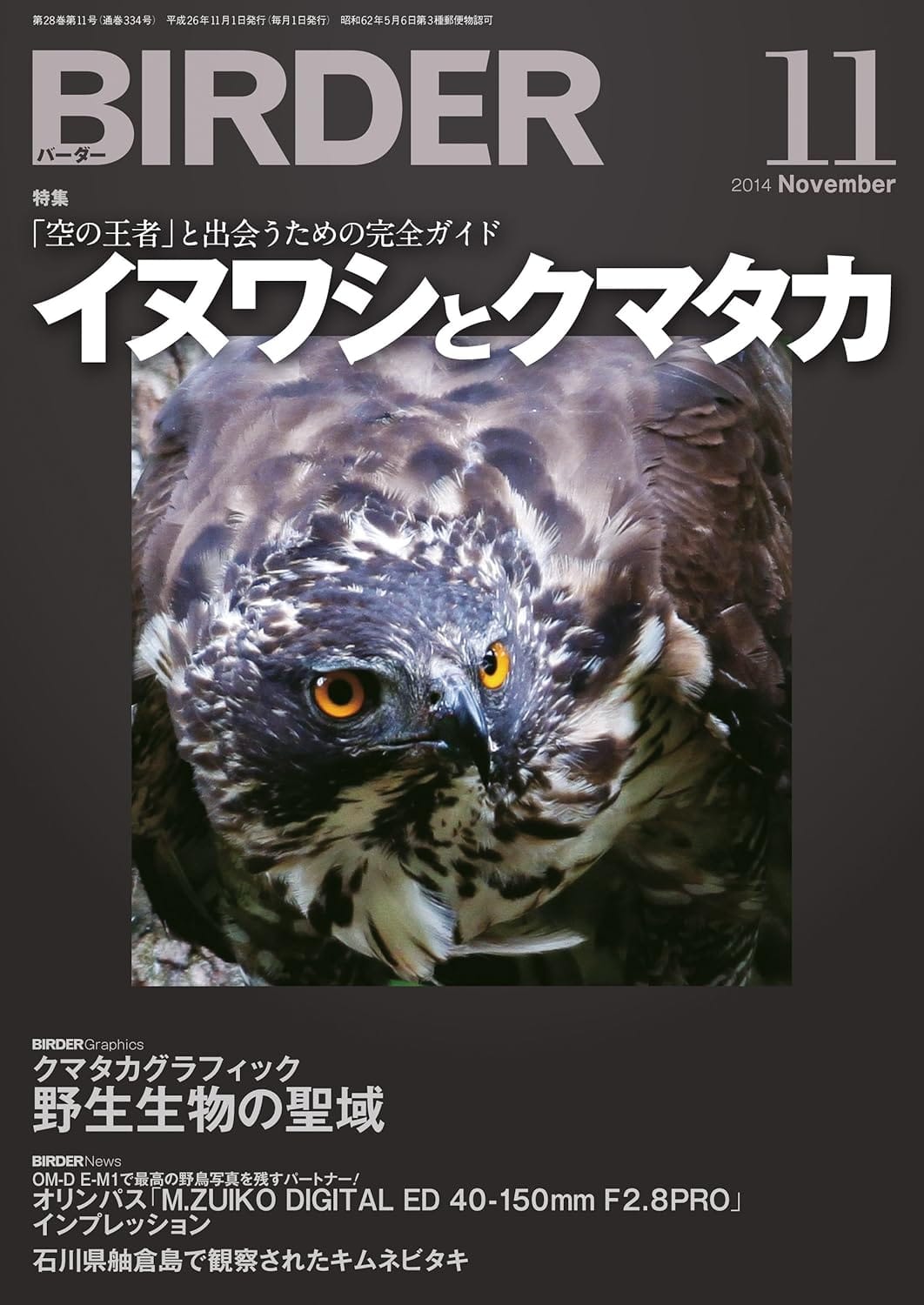 BIRDER（バーダー） 2014年11月号