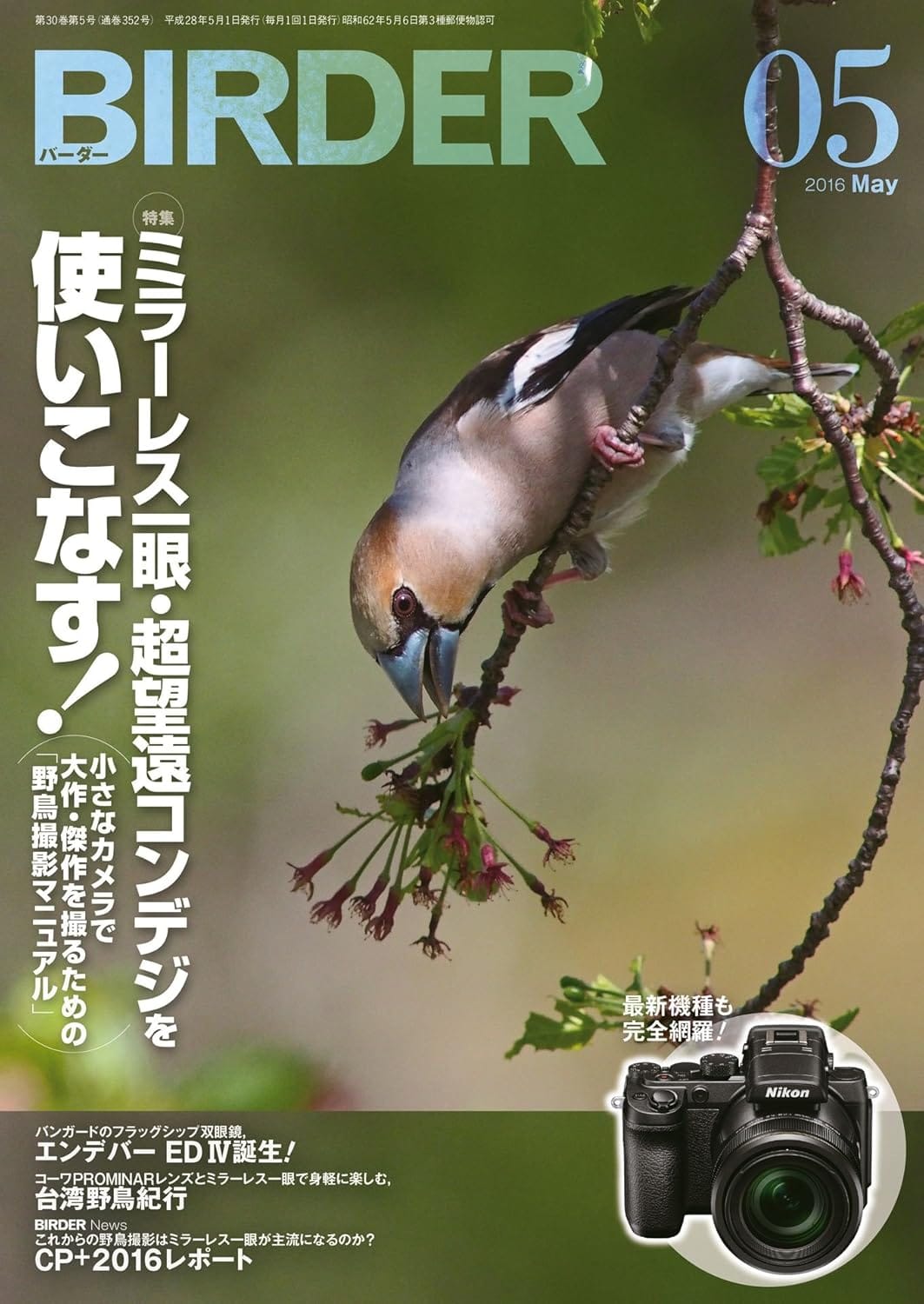 BIRDER（バーダー） 2016年5月号