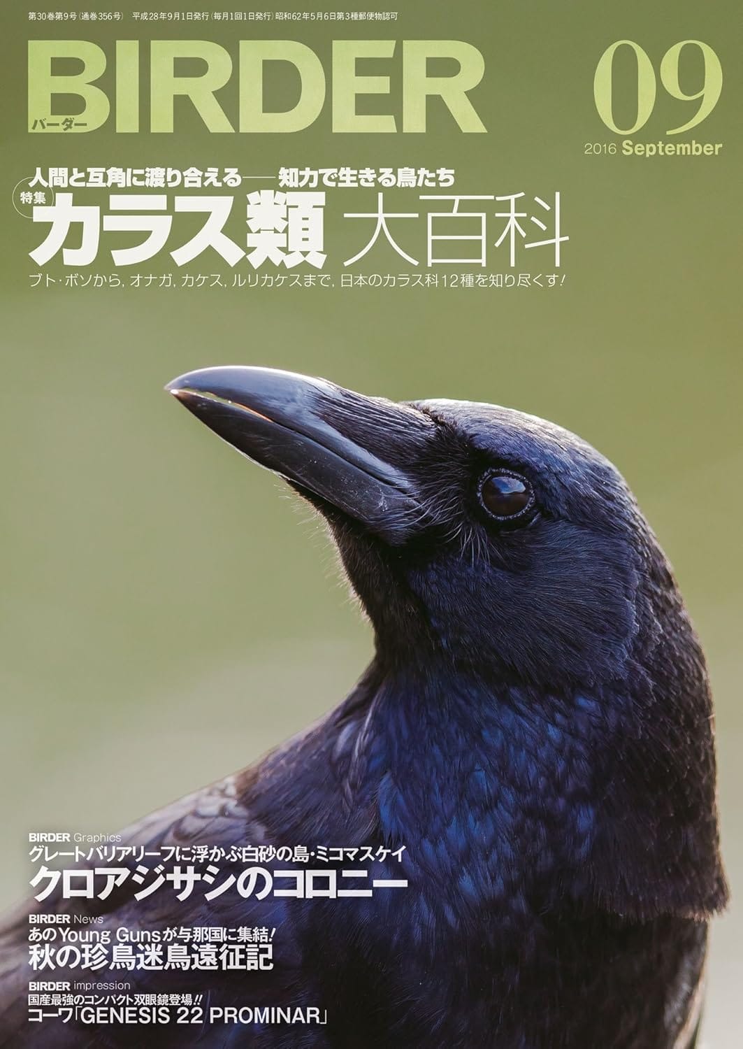 BIRDER（バーダー） 2016年9月号