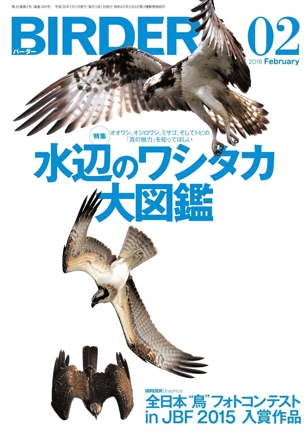 BIRDER（バーダー） 2016年2月号
