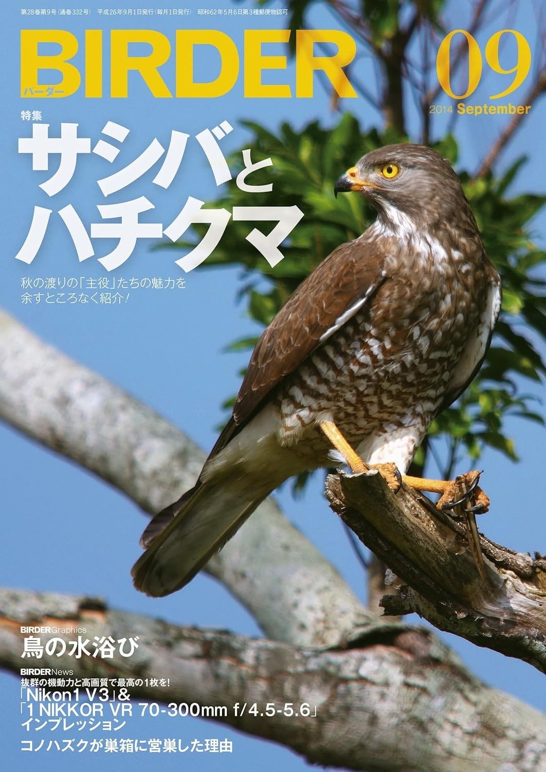 BIRDER（バーダー） 2014年9月号