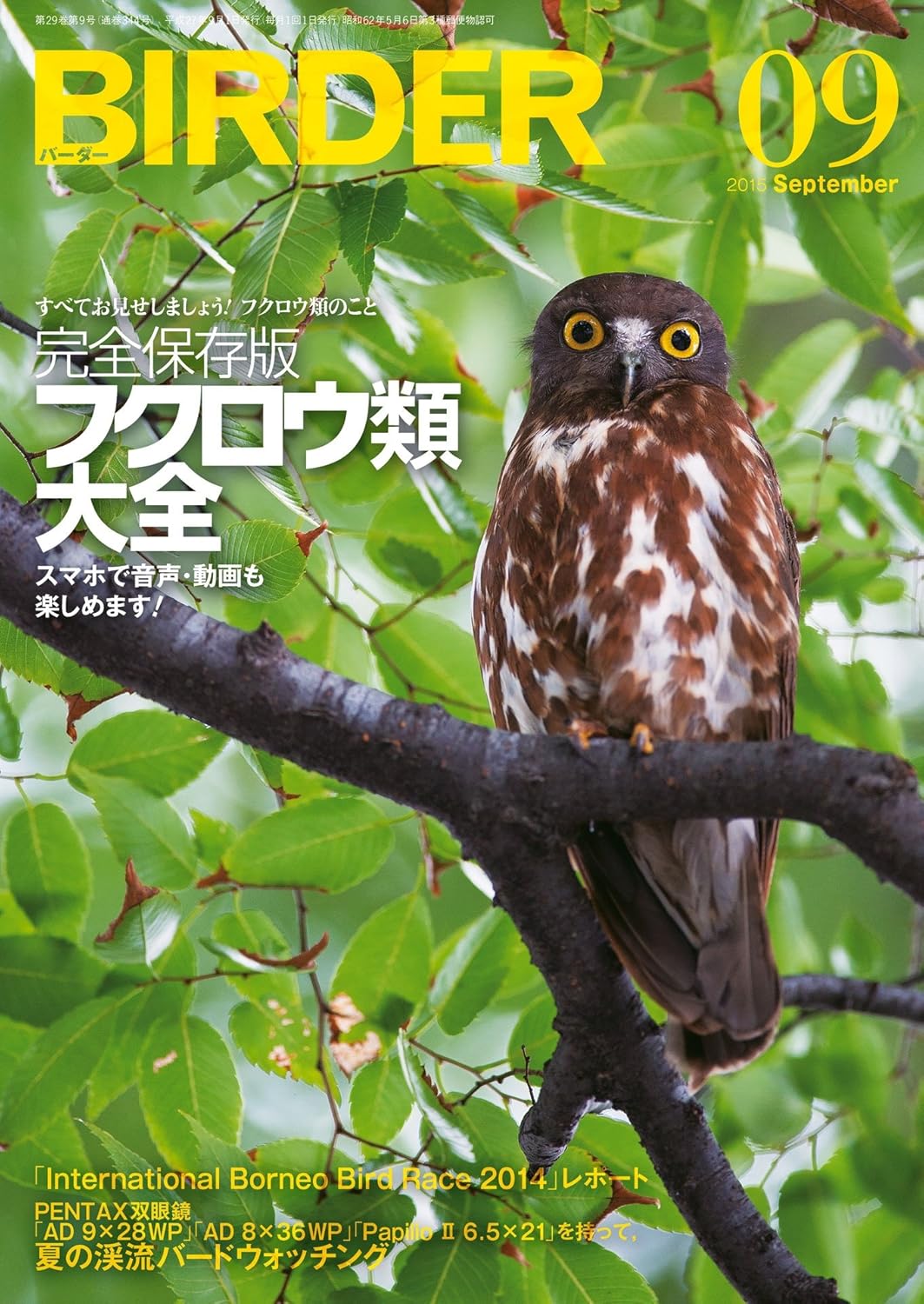 BIRDER（バーダー） 2015年9月号