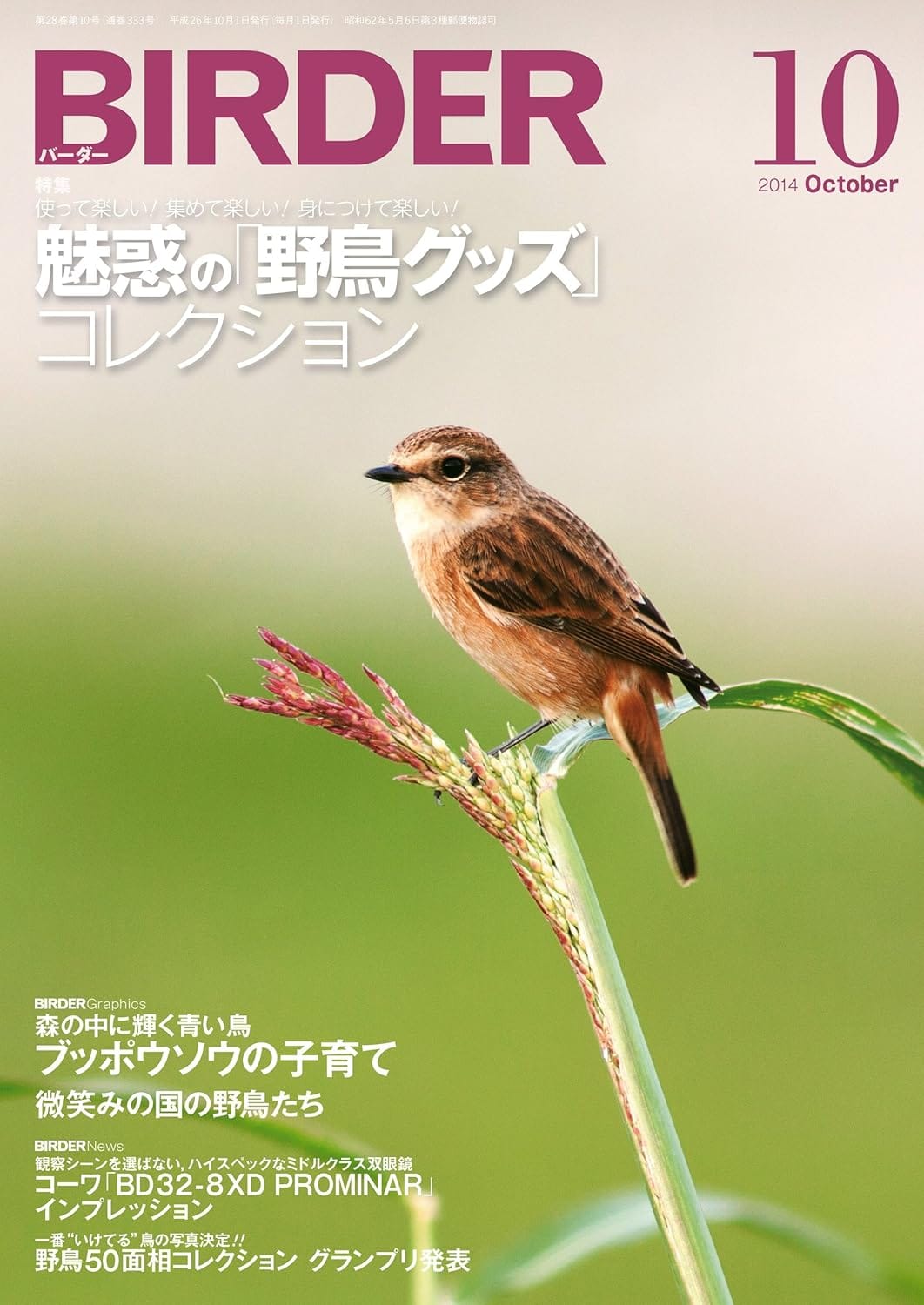 BIRDER（バーダー） 2014年10月号