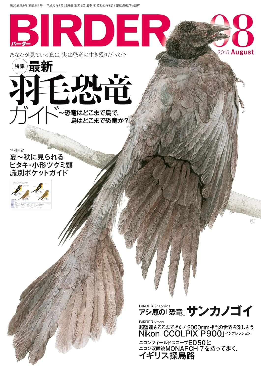 BIRDER（バーダー） 2015年8月号