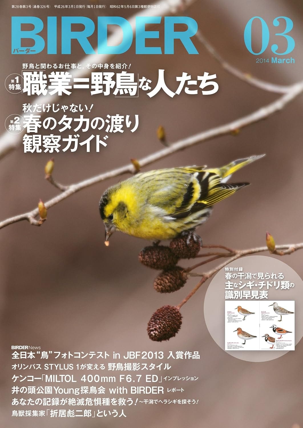 BIRDER（バーダー） 2014年3月号