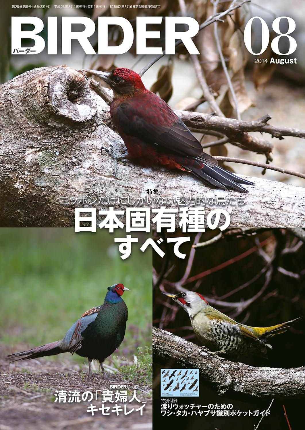 BIRDER（バーダー） 2014年8月号
