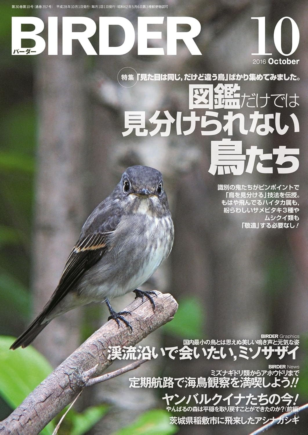 BIRDER（バーダー） 2016年10月号