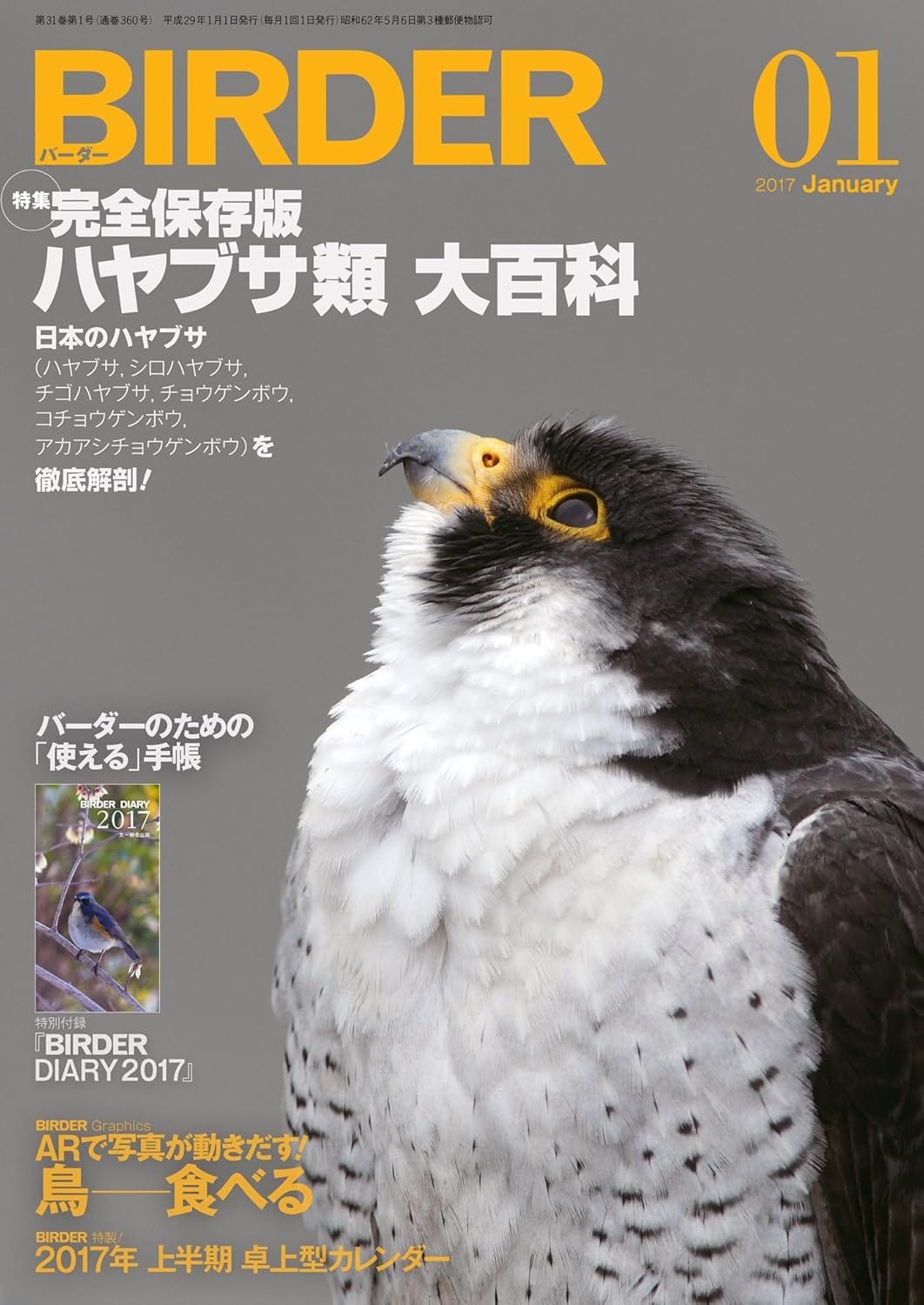 BIRDER（バーダー）2017年1月号