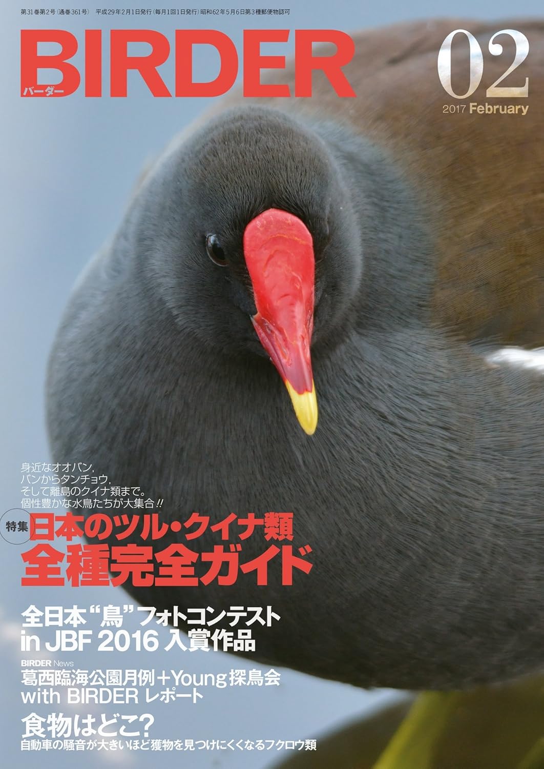 BIRDER（バーダー）2017年2月号