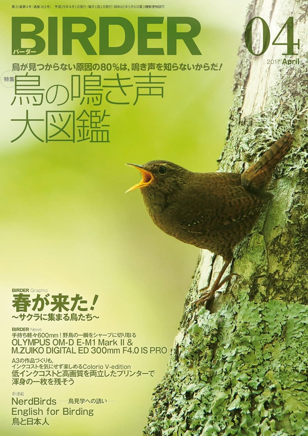 BIRDER（バーダー）2017年4月号