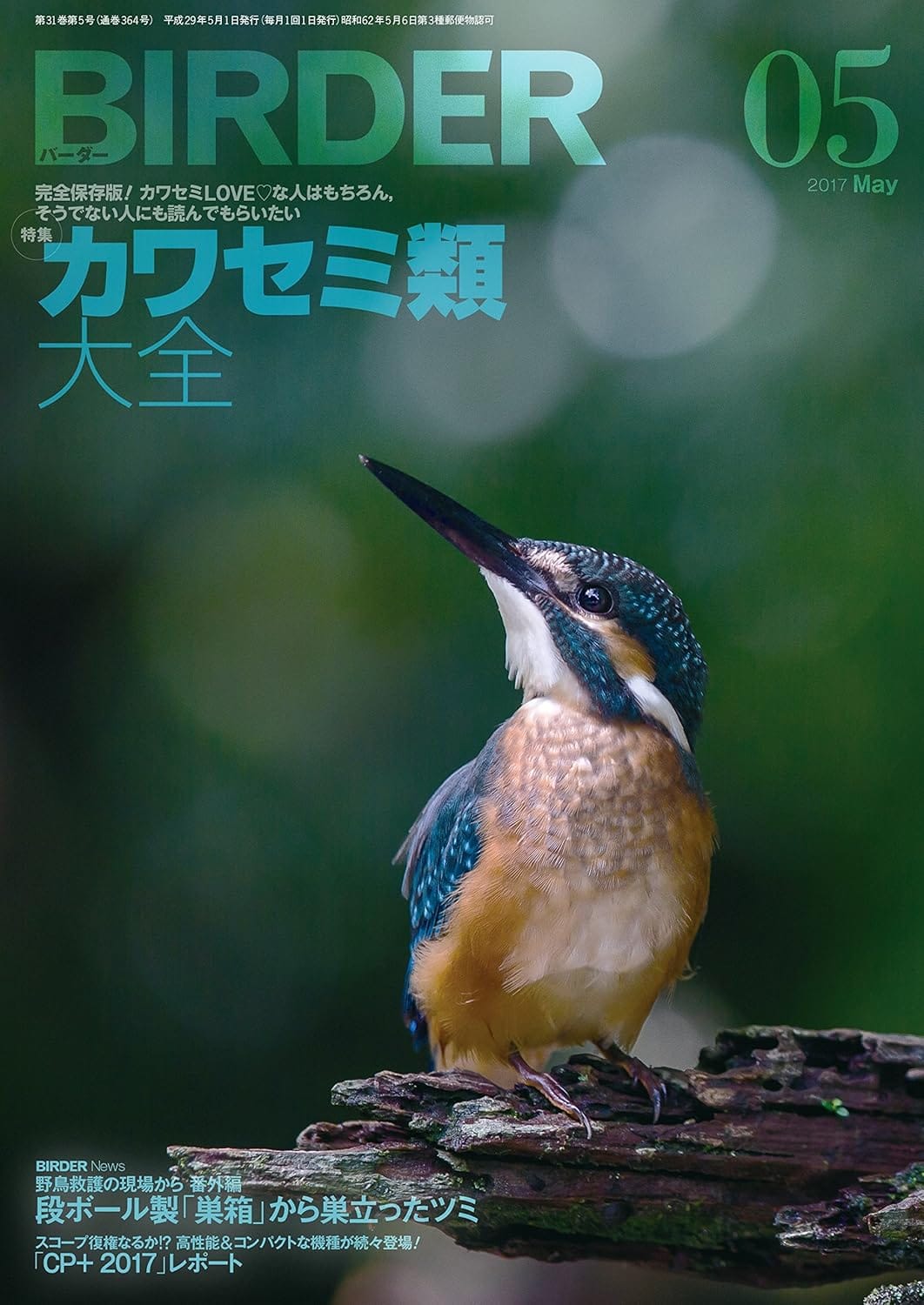 BIRDER（バーダー）2017年5月号