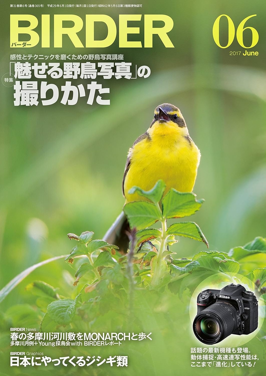 BIRDER（バーダー）2017年6月号