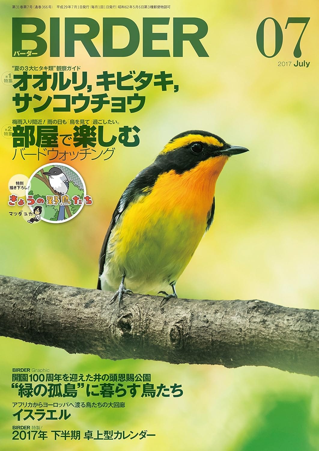 BIRDER（バーダー）2017年7月号