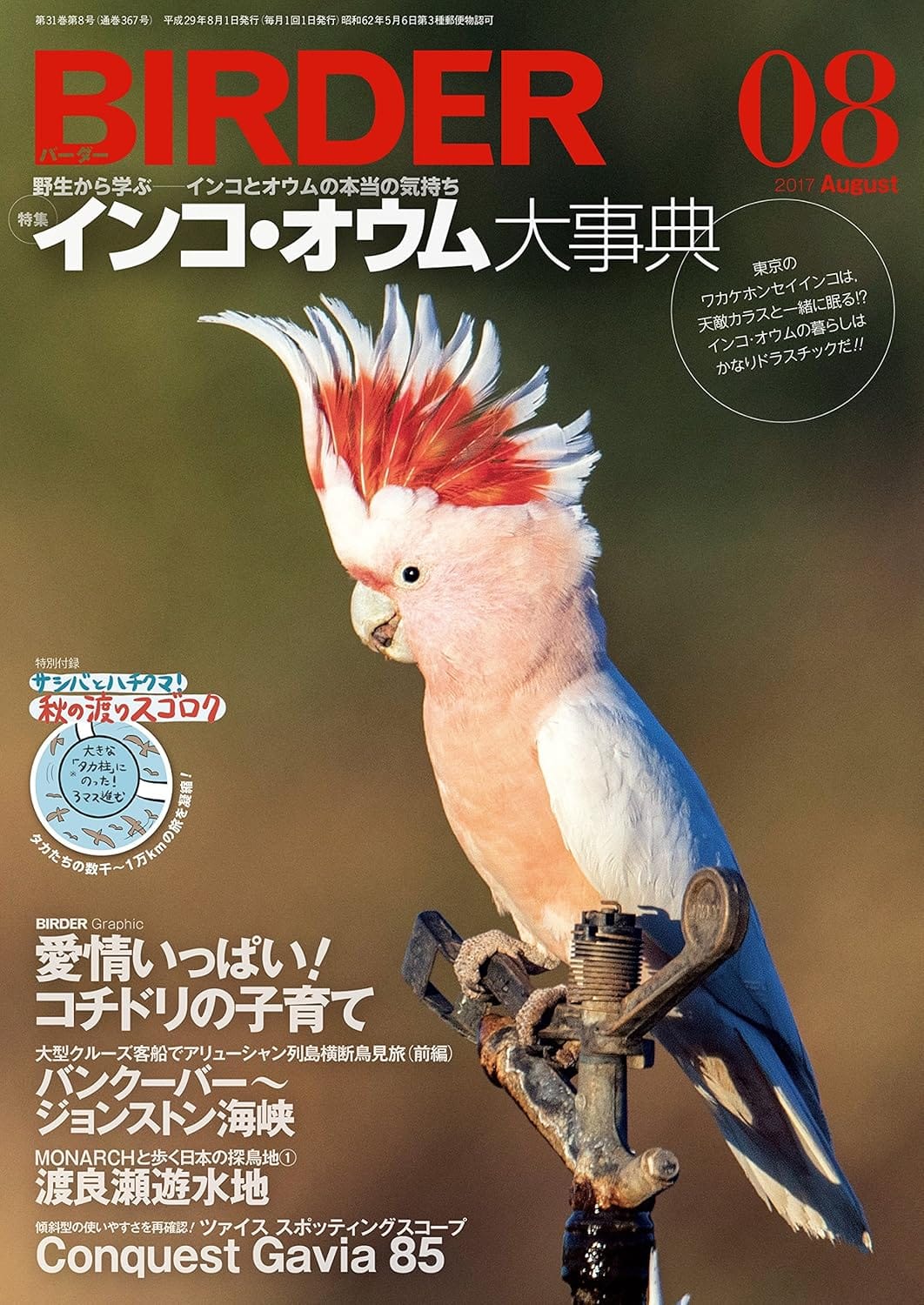 BIRDER（バーダー）2017年8月号