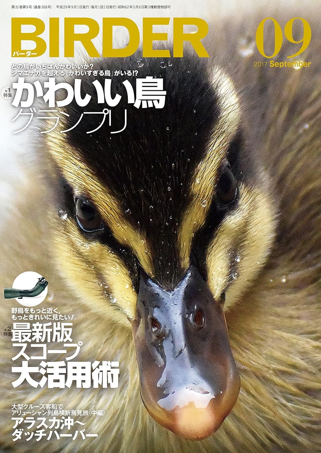 BIRDER（バーダー）2017年9月号