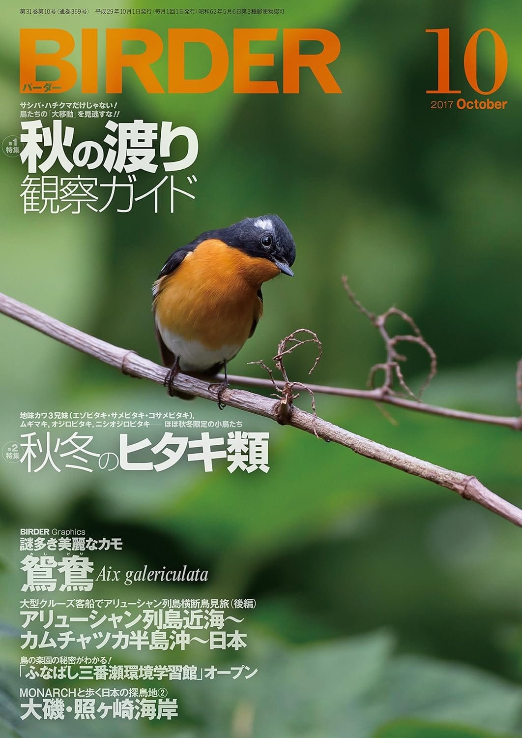 BIRDER（バーダー）2017年10月号