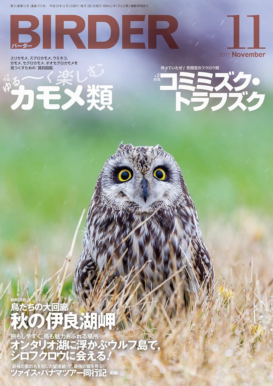 BIRDER（バーダー）2017年11月号