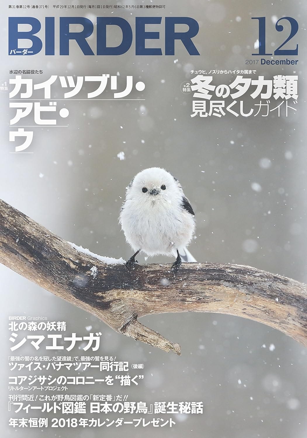 BIRDER（バーダー）2017年12月号