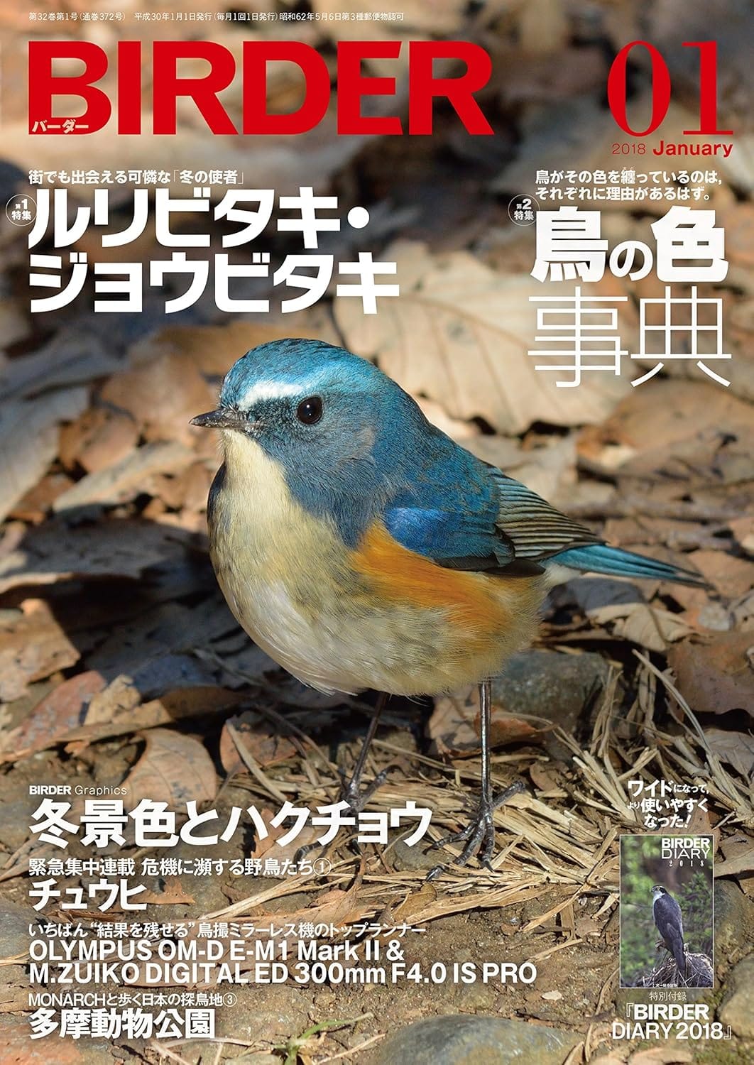 BIRDER（バーダー）2018年1月号