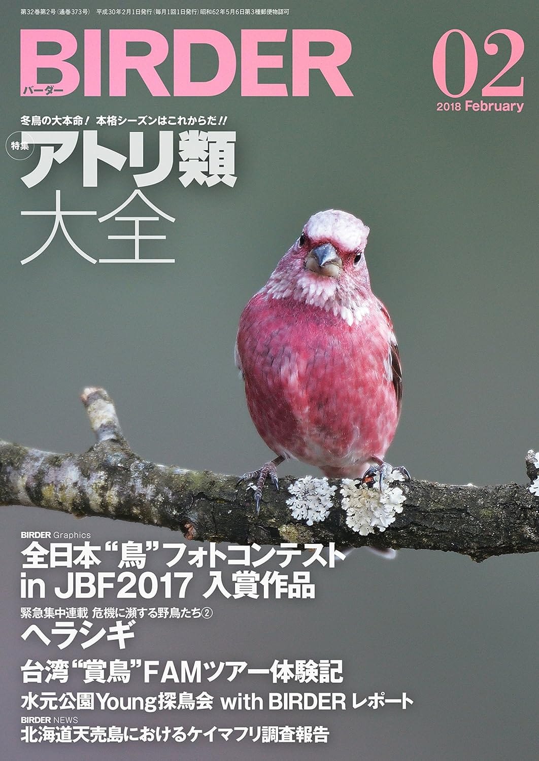 BIRDER（バーダー）2018年2月号